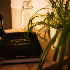 Livre « C'est GRAVE ou c'est PLATE ? »